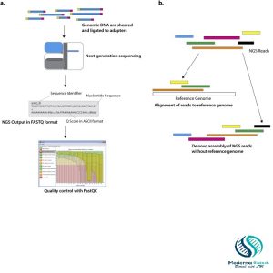 Next generation sequencing (NGS) in clinical virology