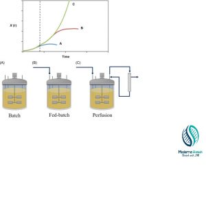 what is batch fermentation