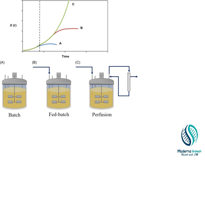 What Is Batch Fermentation And Continuous Fermentation