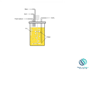 what is batch fermentation