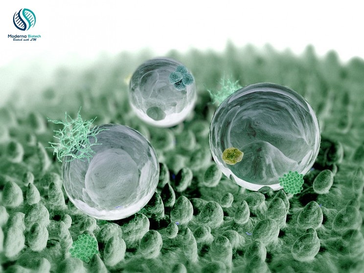 Photo of Nanobiotechnology & Nanocoating technology applications