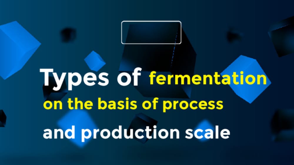 types of fermentation on the basis of process and production scale