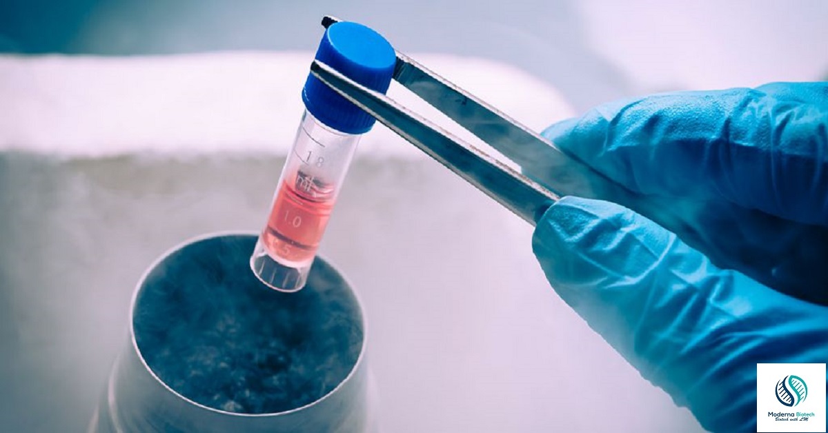 Photo of How cryopreservation is done? | Mechanism