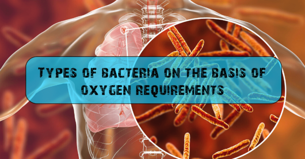 Photo of Types of bacteria on the basis of oxygen requirement