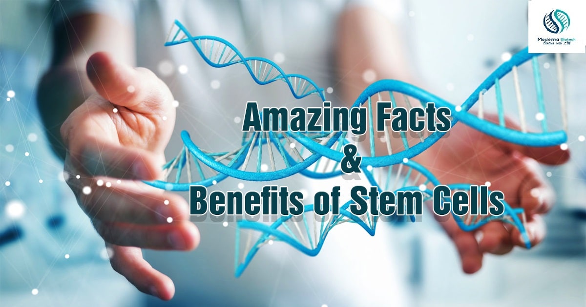 Photo of Interesting facts about Stem cells – Uncovering Truths