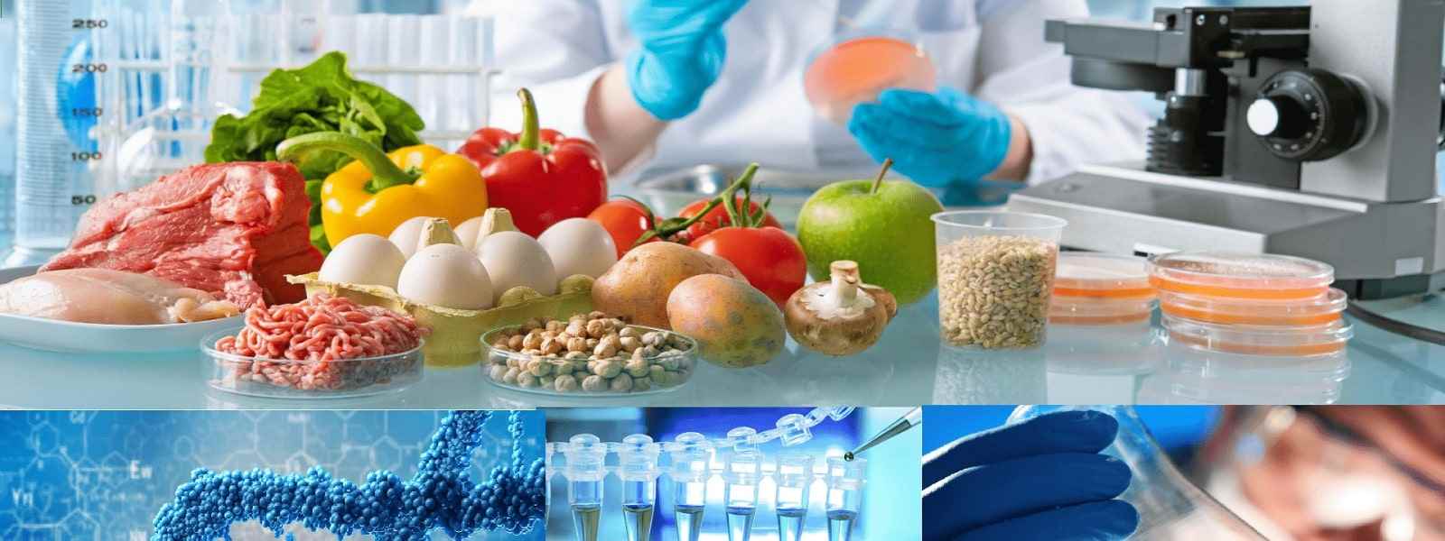 Photo of 5 Latest Developments in Biotechnology to Help You Decide Your Career