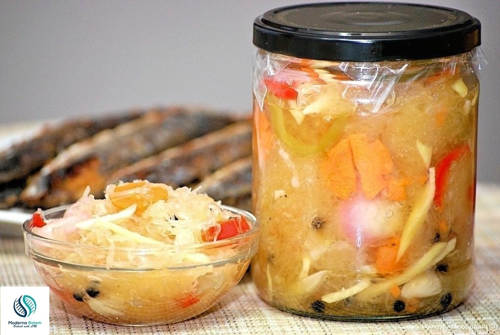 What are the best fermented foods to eat?