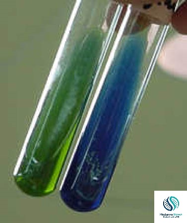 Biochemical tests for Staphylococcus aureus