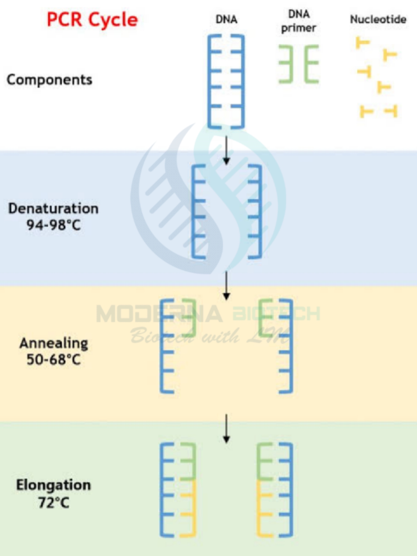 how does pcr work