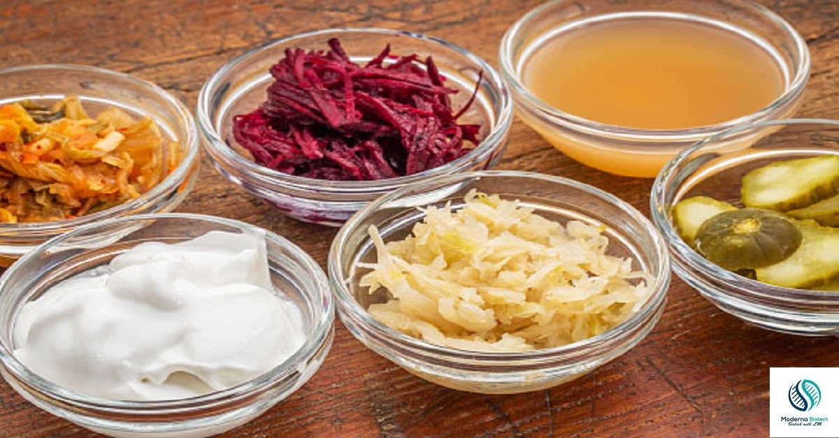 What are the best fermented foods to eat?
