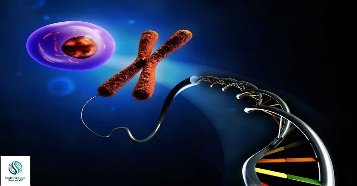 What are the steps of recombinant DNA technology