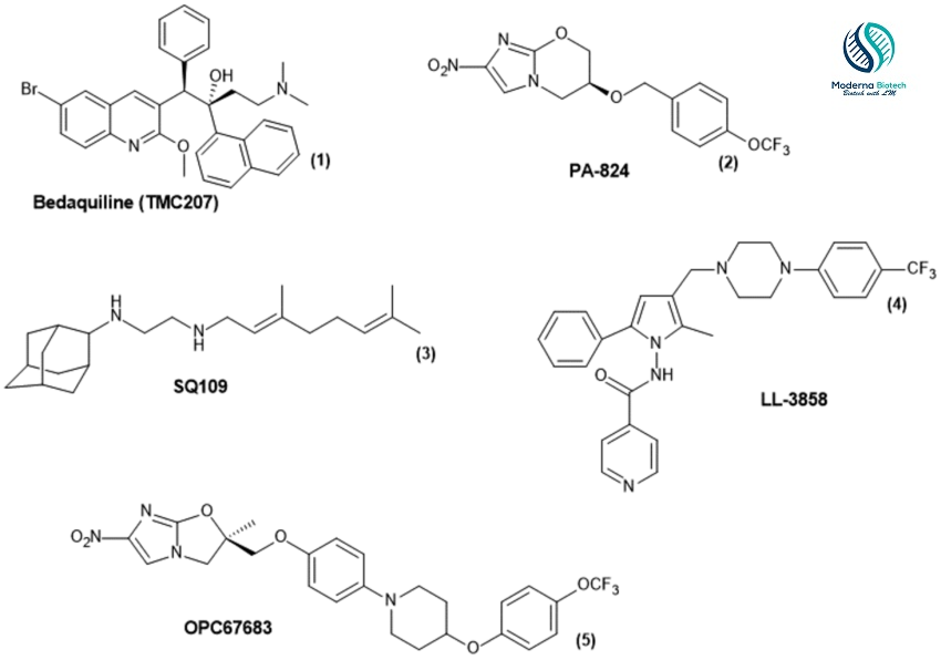 what is drug candidate and its impact