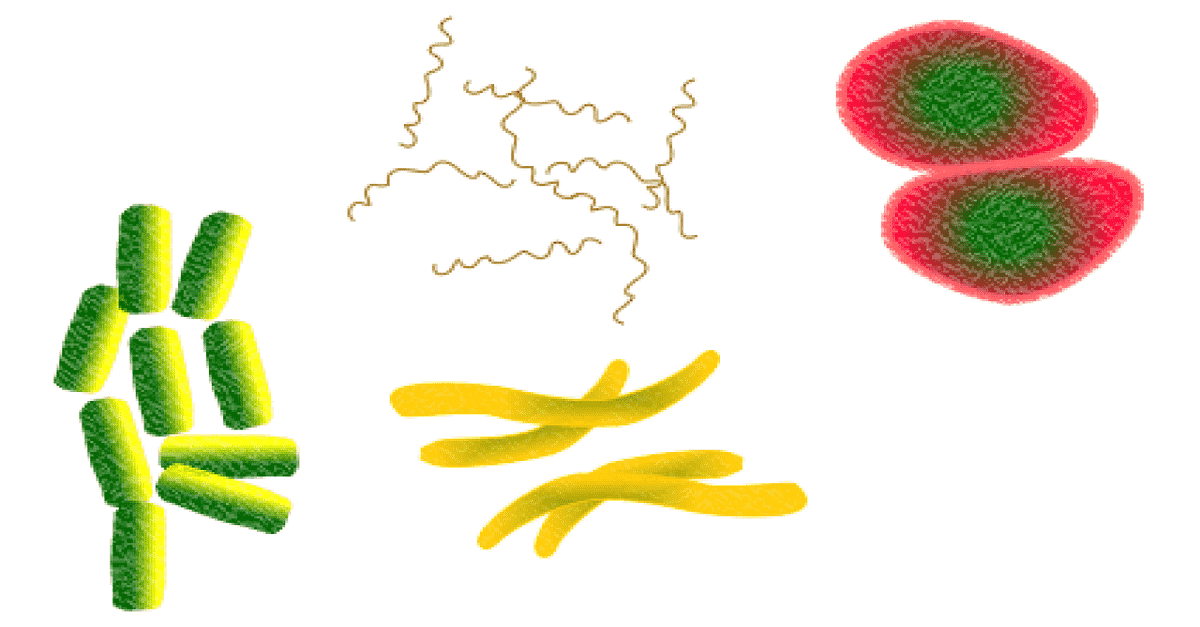 Microbes as tools for microbiological research