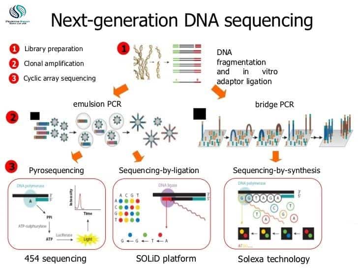 Next generation sequencing steps