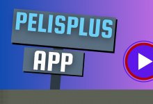 Photo of Pelisplus App & Apk Download – Latest 2023