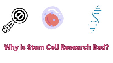 Photo of Why is Stem Cell Research Bad/Good – Disadvantages of Stem Cell Research